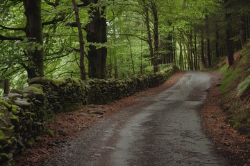 Fototapeta premium A road with a stone wall on the side and trees in the background. The road is wet and muddy