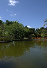 Fototapeta premium La caracteristica mas resaltante de Miami Beach,es que para donde quieras que mires vas a encontrar el verde de la vegetacion,y el agua en todas sus formas!