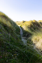 Dune du Finsit&egrave;re-1