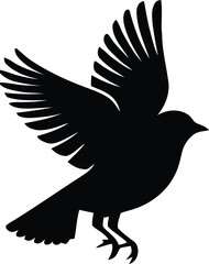 Bird Vector Silhouette Illustration