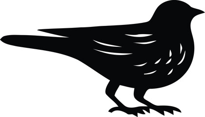 Bird Vector Silhouette Illustration