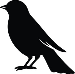 Bird Vector Silhouette Illustration