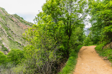 Fototapeta premium The way to the ruins of the Caucasian mountain village of Gamsutl in Dagestan, Russia