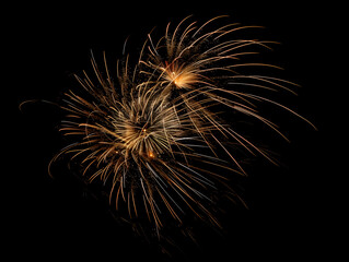 Obraz premium Large fireworks burst in the night sky, display, demonstration - 18.3MP - created with AI