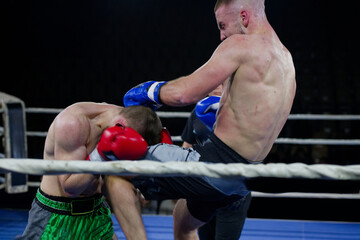 Kickboxing rivals unleash powerful leg strikes in a thrilling match.