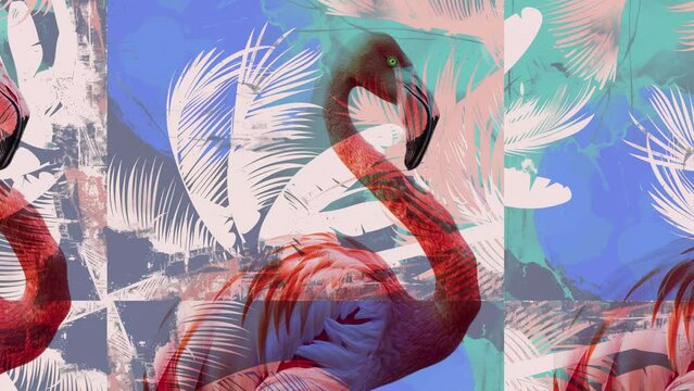 Flamingo Collage Background Pattern Loop