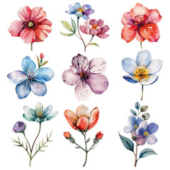 Colorful watercolor flowers in various shapes and sizes, perfect for designs, invitations, and artistic projects.