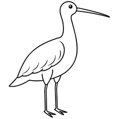 Abdim’s Stork vector illustration




