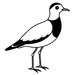 Bird Vector Illustration