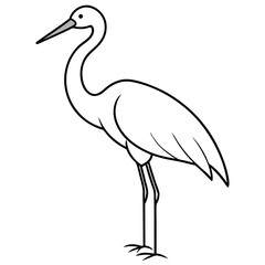 Abdim’s Stork vector illustration




