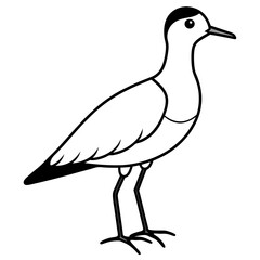 Bird Vector Illustration