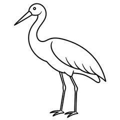Abdim’s Stork vector illustration





