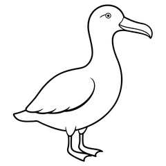 Bird Vector Illustration