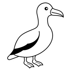 Bird Vector Illustration