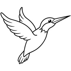 Bird Vector Illustration