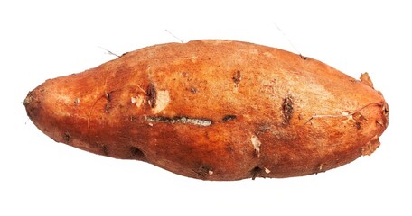 Isolated sweet potato on white background, showcasing its natural texture and organic shape.