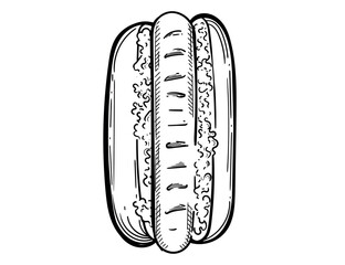 Hand drawn hot dog sketch with sausage and sauce vector illustration isolated on white background