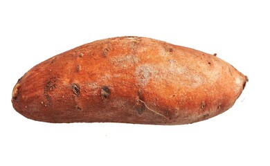 A single, uncooked sweet potato isolated on a white background, emphasizing its natural texture and color.