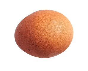 Close-up of a single brown chicken egg isolated on a white background with a clear, detailed shell.