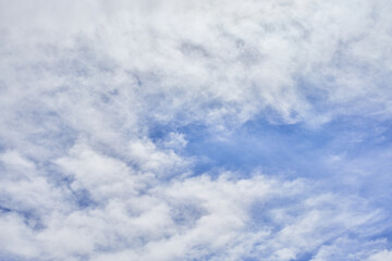 Obraz premium A serene sky with fluffy clouds scattered across the blue expanse, conveying a sense of calmness and openness suitable for backgrounds.