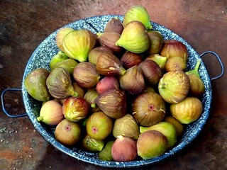Full bowl with freshly ripe figs.