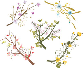Floral ornamental branch designs vector set, floral design elements. Spring and summer concept.