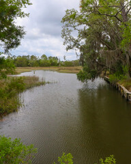 Guana Reserve Wetlands