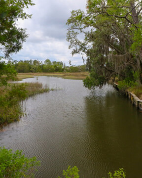 Guana Reserve Wetlands
