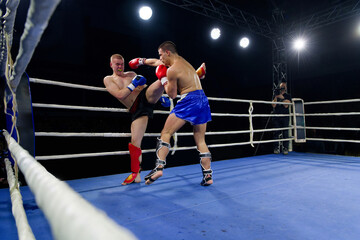 Kickboxing rivals unleash powerful leg strikes in a thrilling match.