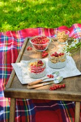 Picnic with chia pudding with granola and red currants in glass jars on a wooden table on a red checkered blanket in the garden.