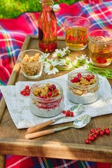 Picnic with chia pudding with granola and red currants in glass jars and iced tea in a bottle on a wooden table on a red checkered blanket in the garden.