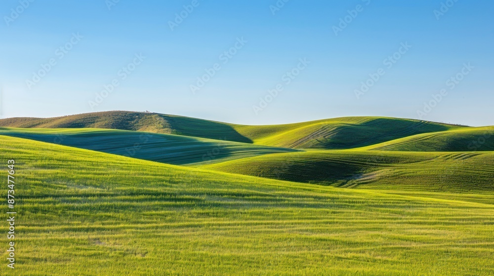 Poster Rolling Green Hills Under a Clear Blue Sky