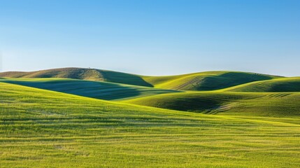 Obraz premium Rolling Green Hills Under a Clear Blue Sky