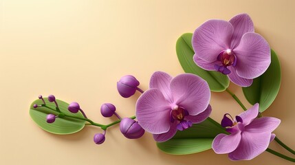 Obraz premium A purple orchid, on a light background, in a flat illustration style, in white letters, with a simple and minimalistic design, at a high resolution,