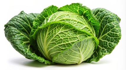 Fototapeta premium A large green cabbage with many leaves