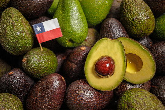 Chilean Hass Paltas, close-up view showing a mix of Hass and Fuerte paltas with a cut palta and a Chilean flag, highlighting local production and traditional Chilean cuisine
