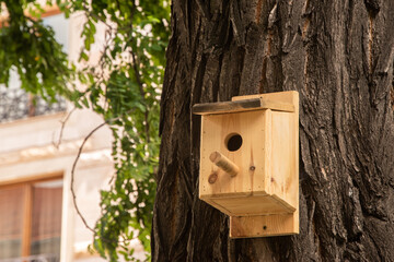 Wooden birdhouse hanging on a tree in urban environment closeup