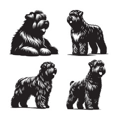Black and White Bouvier des Flanders Vector silhouette  Illustration, Bouvier des Flanders Silhouette Set in sitting, running and standing pose