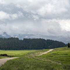 road through meadows from dunton to rico co