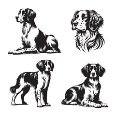 Vector Styled Brittany Spaniel Silhouette Set, Black and White Brittany Spaniel Vector silhouette Illustration in sitting running and standing pose