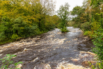 Europe, United Kingdom, England, Yorkshire, Skipton. Walks offer glimpse of local scenery. The River Wharfe.