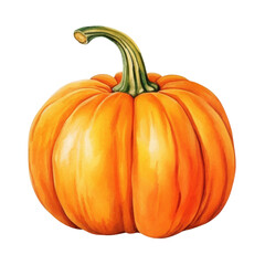 Fototapeta premium Large orange pumpkin, watercolor illustration, PNG image, cutout, isolated on transparent background