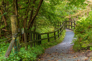 Europe, United Kingdom, England, Yorkshire, Yorkshire Dales. Barden, Skipton. Walk offers glimpse of local scenery.