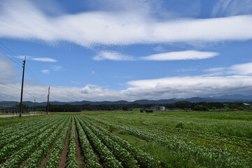 雲と空 背景素材