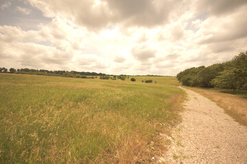 sunny prairie landscape with bright clouds and gravel road in Kansas