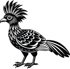 Adobe Illustrator Artwork. Hoatzin Birds Vector Illustration