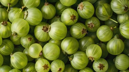 Harvest of fresh green gooseberries top view background 