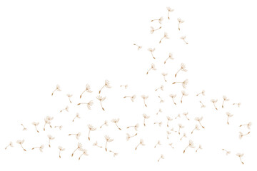 Dandelion Logo, Vector Plant Dandelion flower, Design Icon Template