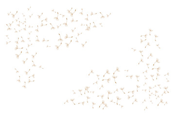 Dandelion Logo, Vector Plant Dandelion flower, Design Icon Template