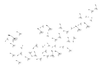 Dandelion Logo, Vector Plant Dandelion flower, Design Icon Template